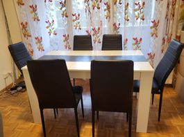 Dining table with 6 cusion chairs