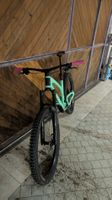 Bold Unplugged Pro - L