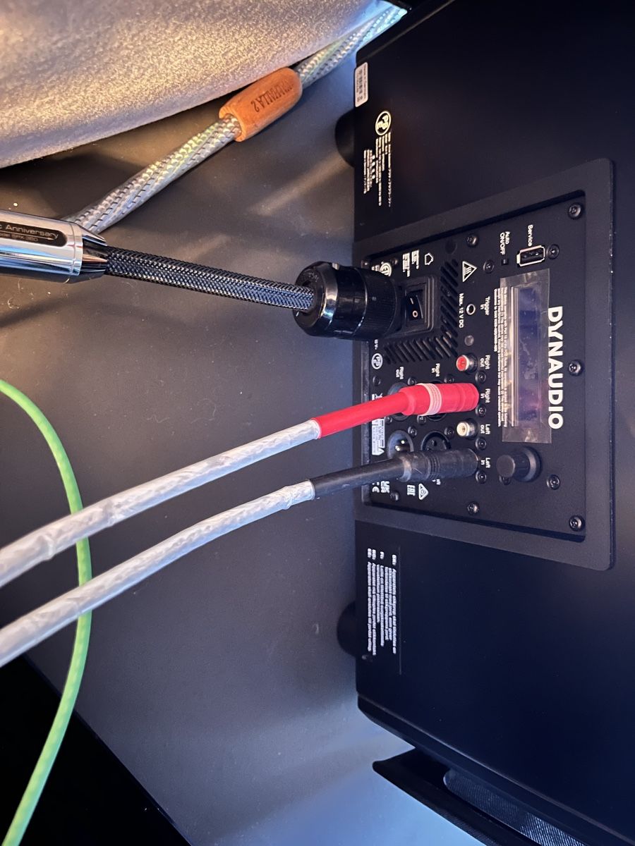 Dynaudio Casse acustiche: Dynaudio Subwoofer 6 – Nuovo (secondo la descrizione) da Küssnacht am Rigi venduto da lus_g9xw 1