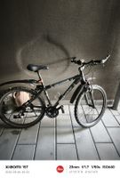 Bergamont Mountainbike 26 Zoll guter Zustand