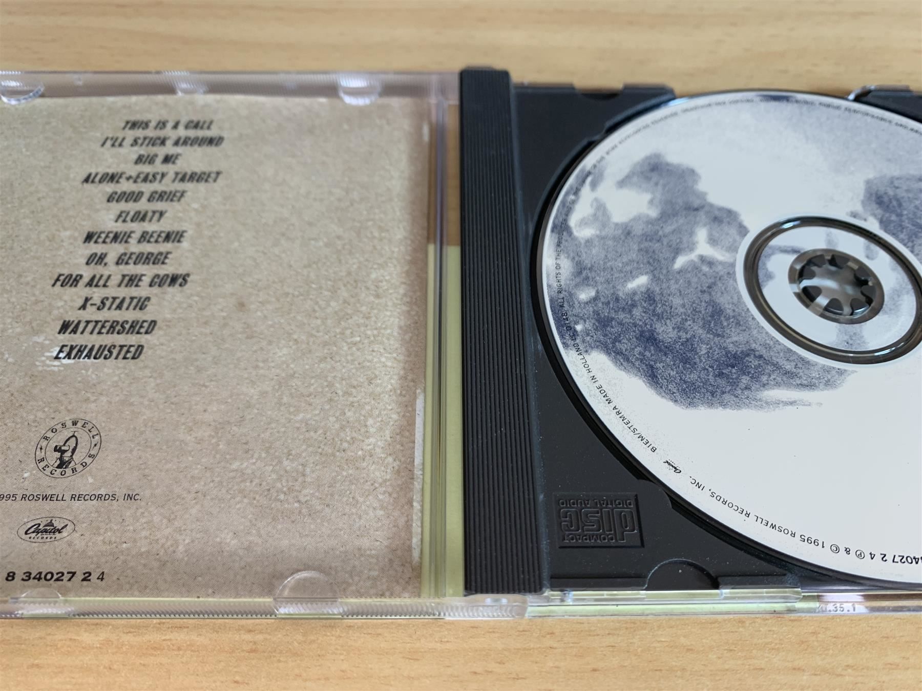 CD: Foo Fighters – Foo Fighters – Usato da Rikon im Tösstal venduto da Alpenmutz 2