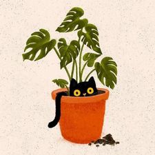 Profile image of greenbeans