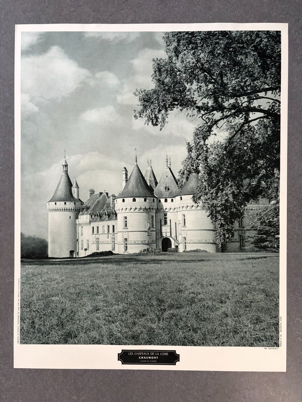 Foto & Immagini: Original Vintage Poster - Chateau de Chaumont – Usato da Zürich venduto da jesulin05