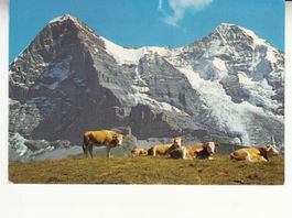 Eiger Mönch ca. 1960