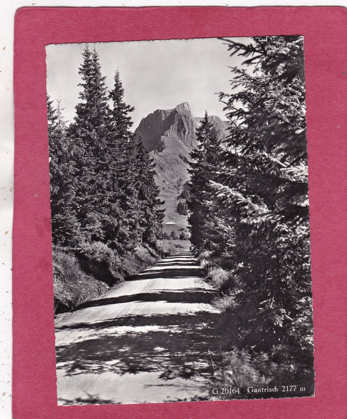 Ansichtskarten: Gantrisch 1960 – Gebraucht aus Herisau von Lisegrat2008