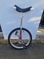 Einrad Onlyone in Chrom, guter Zustand