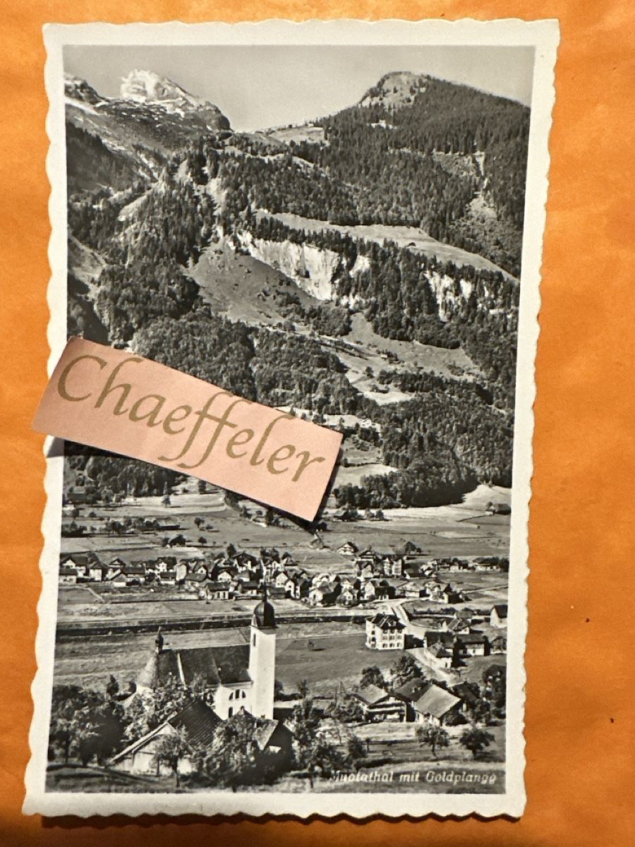 Cartoline postali: Muotathal mit Goldplangg – Usato da Zürich venduto da Chaeffeler