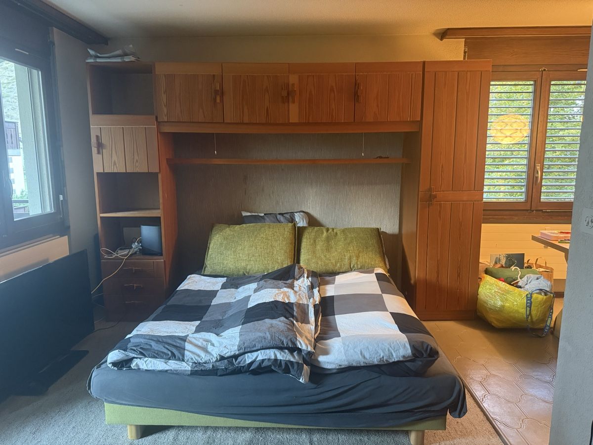Sofas: Canapé-lit vert avec 2 coussins – Gebraucht aus Zermatt von CyprienJ 3
