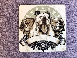 Bulldogge hund