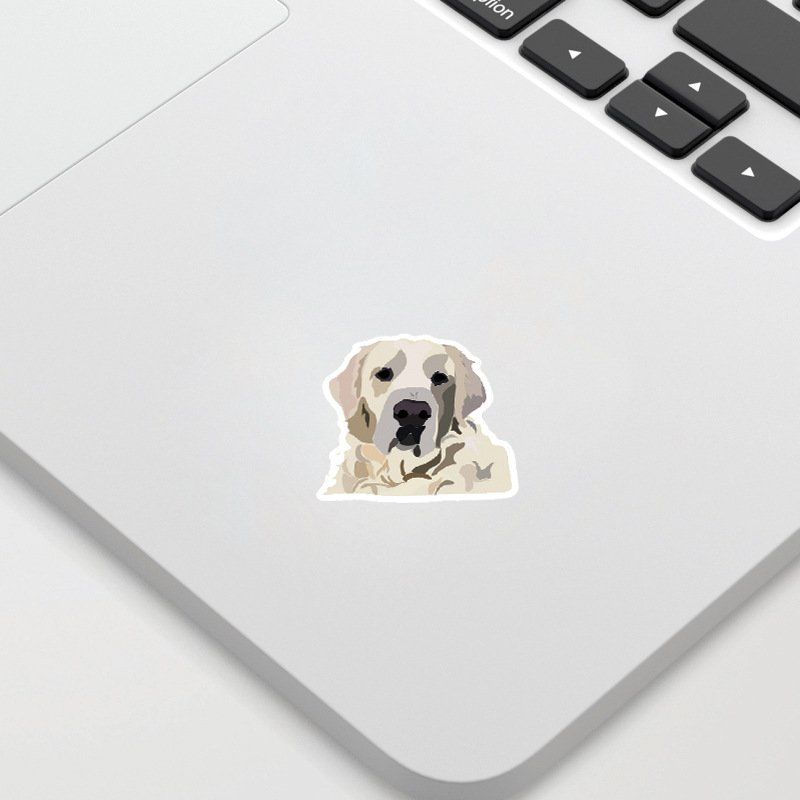 Sticker: autocollant Aufkleber – Nuovo e nell'imballaggio originale da Delémont venduto da abonprix 7