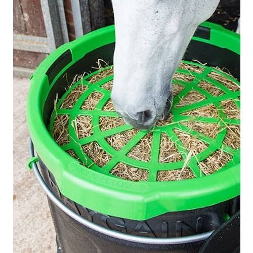 Nourriture: Haygain Forager Slowfeeder gebraucht – D'occasion à Niederhasli par Ethea