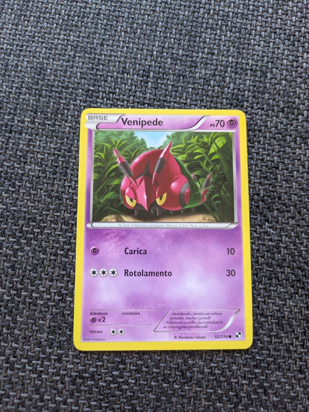 Pokémon Carte collezionabili: VENIPEDE, BLACK & WHITE, BLW52, COM, 2011, ITA, GD – Usato da Losone venduto da AlpineLayer