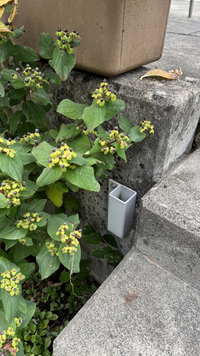 Stobag Tende da sole: Seitenmarkise / Senkrechtbeschattung STOBAG – Usato da Sarnen venduto da Bronca01 3