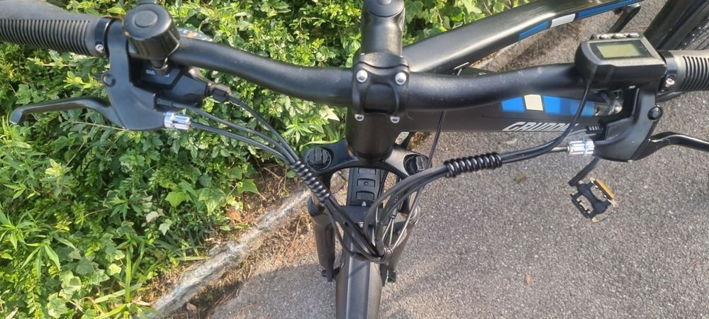 Biciclette: E-Bike – Usato da Frauenfeld venduto da nazanin 4