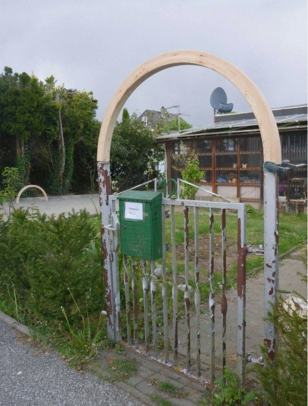 Articoli in legno: Holzbogen / Rosenbogen / Halbbogen / Leimholzbogen – Nuovo e nell'imballaggio originale da Aesch BL venduto da M.Cueni 4