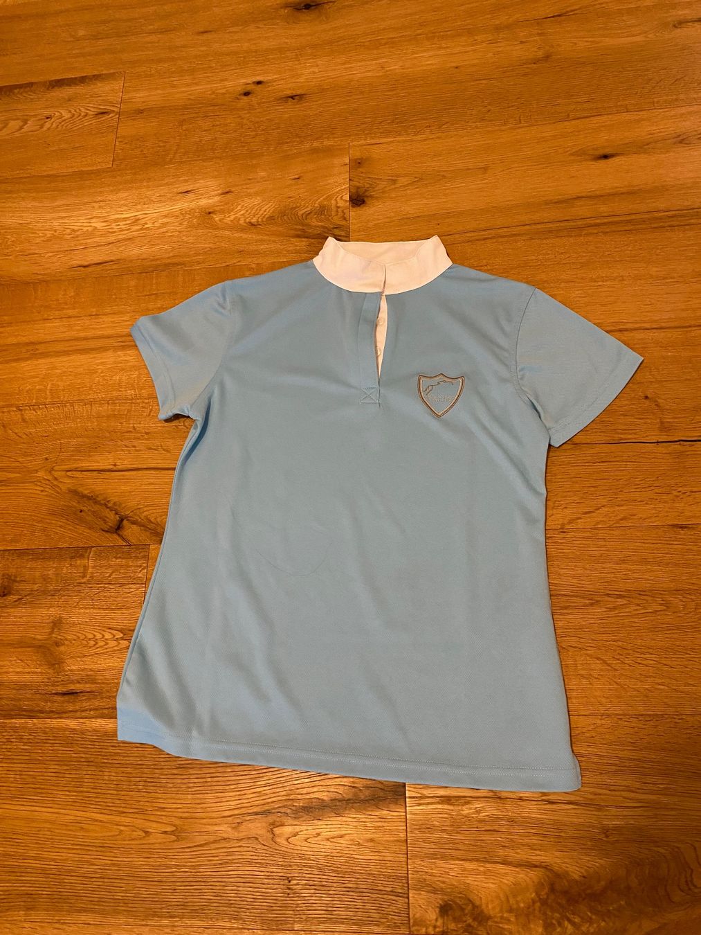 Felix Bühler Magliette Polo: Hellblaues Poloshirt Felix Bühler – Usato da Udligenswil venduto da ale_wqx2
