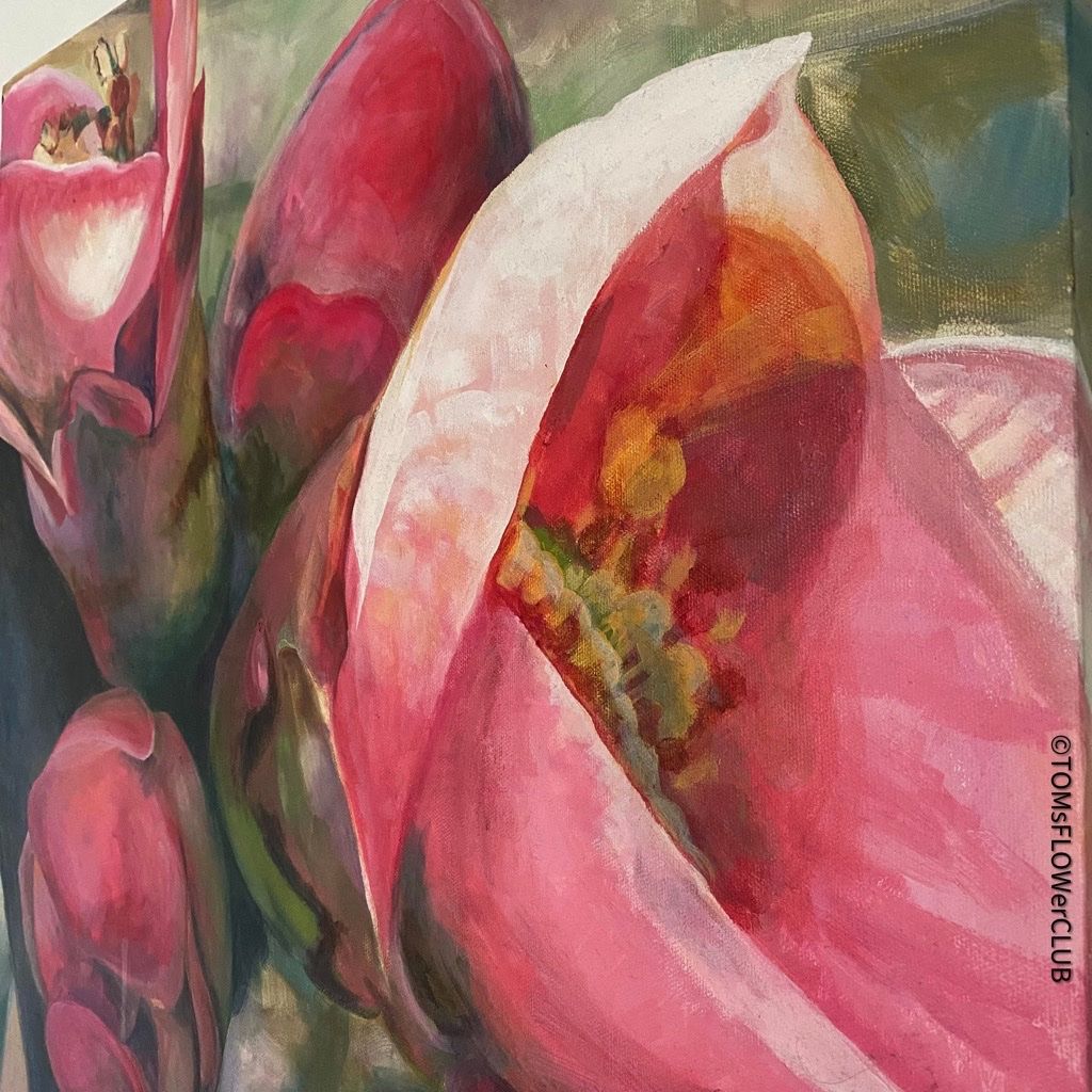 Gemälde: Apfelblüte / Vera Käufeler – Neu und originalverpackt aus Adliswil von TAKEYOURPLANT 7