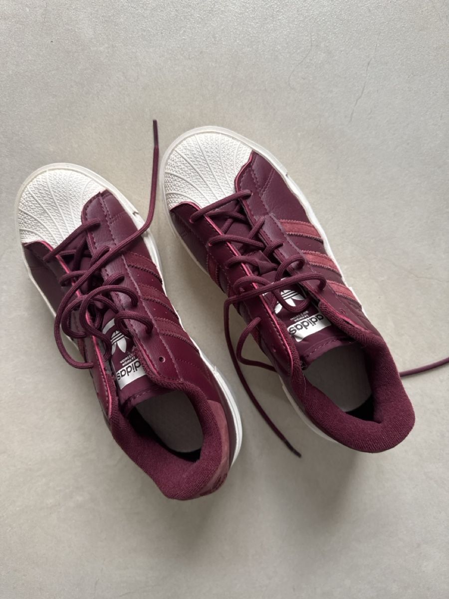 Adidas Damenschuhe: Adidas superstar Gr. 37 1/3 – Gebraucht aus Uttwil von rat_7sh2 5