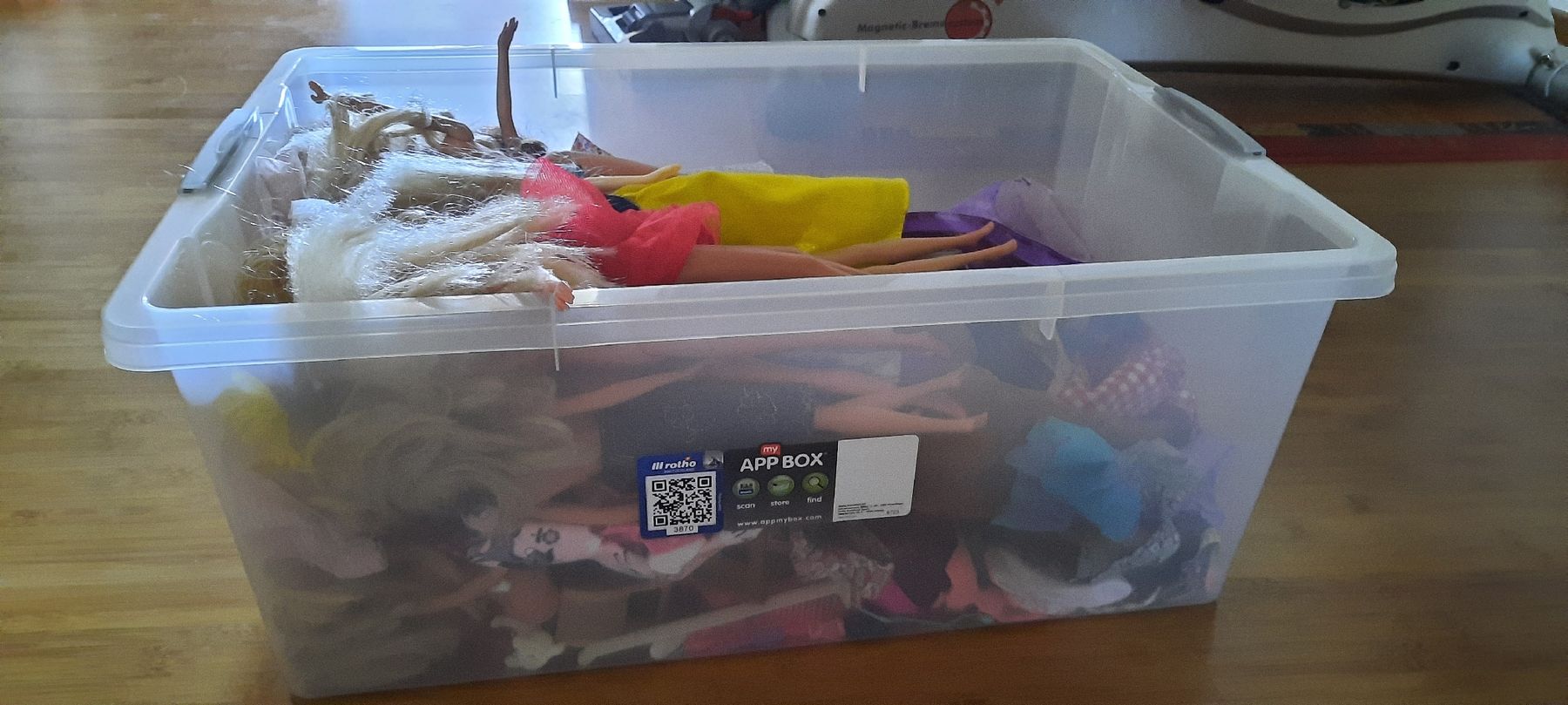 Bambole: Barbies und Zubehör – Usato da Inkwil venduto da Patmei0 2