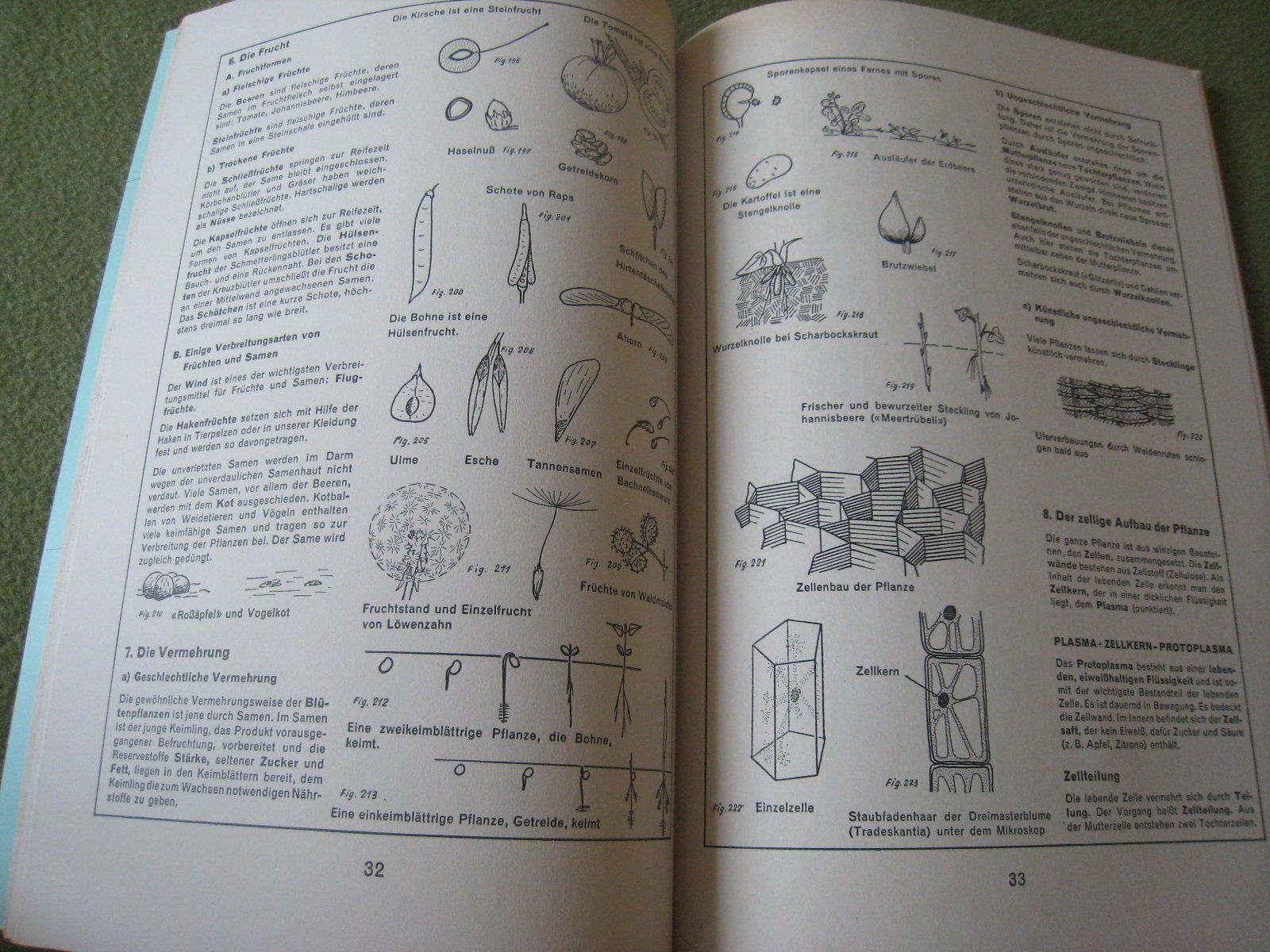 Libri: Sammlung Lebendiges Wissen – Usato da Lohn-Ammannsegg venduto da elch_55 4