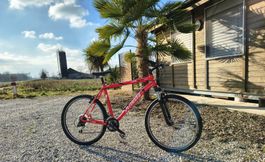 Specialized HR XC Comp MTB Top Zustand !