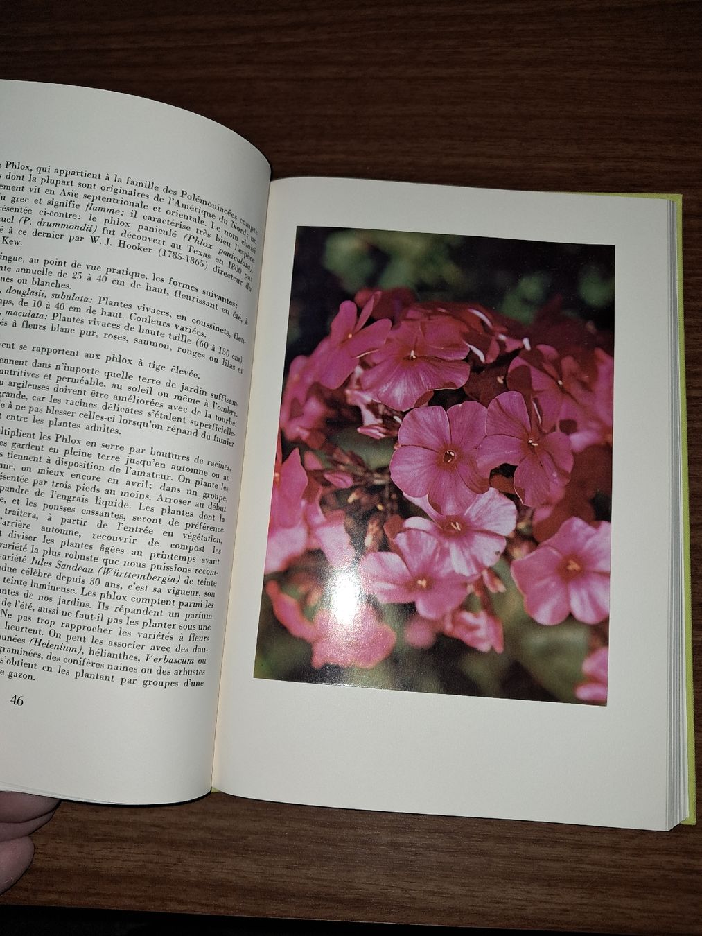 Bücher: Livre fleurs de nos jardins – Gebraucht aus Le locle von juliensaran 2