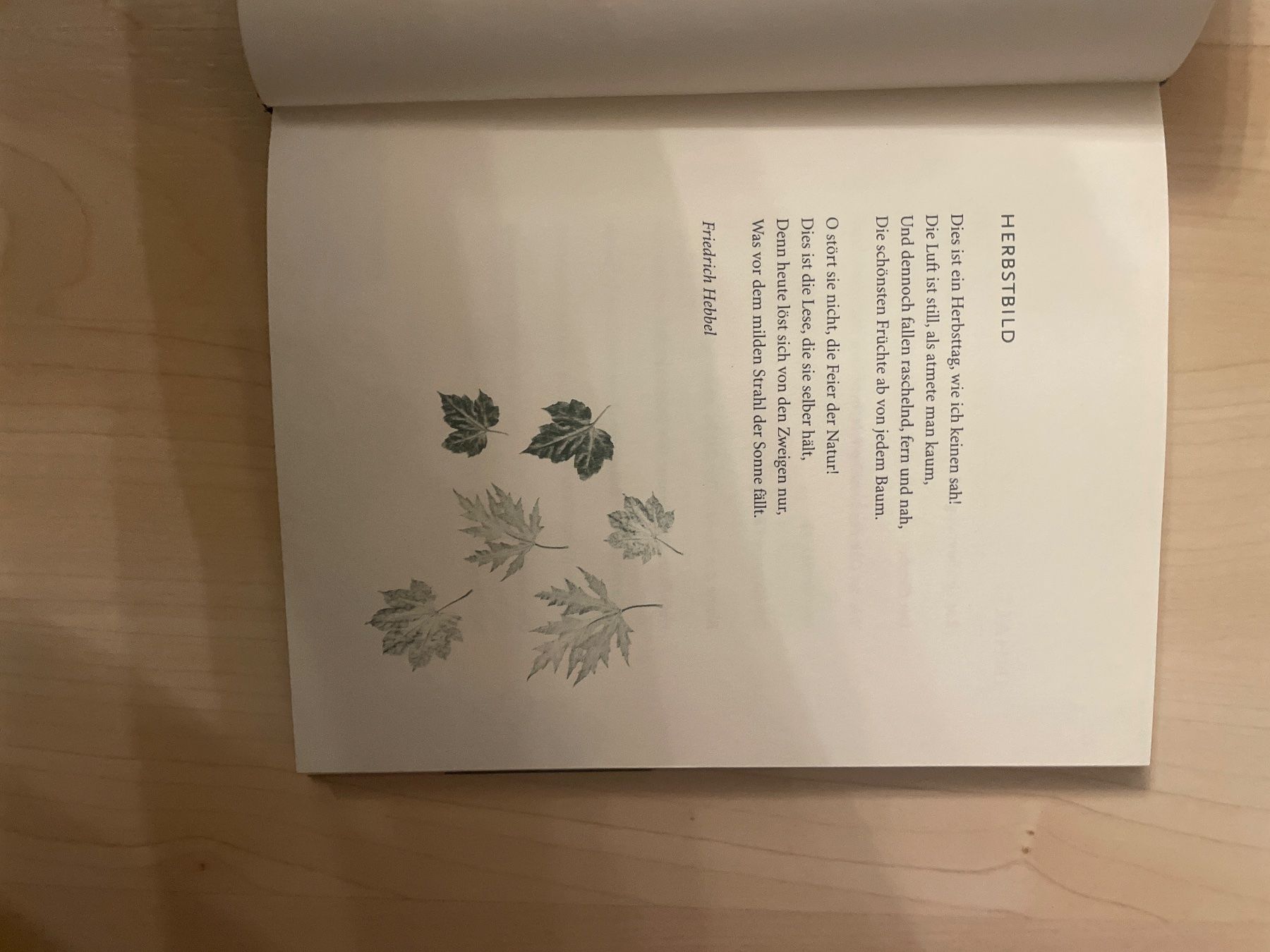 Libri: Buch vom goldenen Oktober – Usato da Schaffhausen venduto da Kolibri023 1