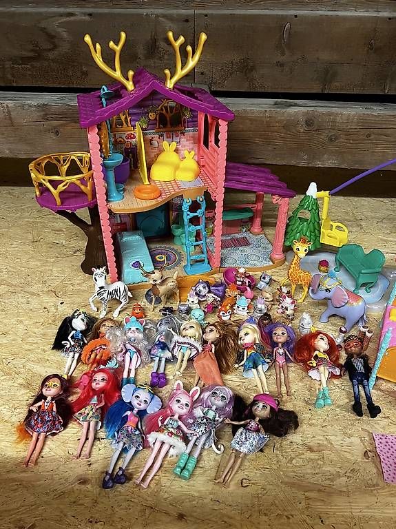 Spielzeuge: Puppen Enchantimals Set – Gebraucht aus Schwyz von sdesiree 2