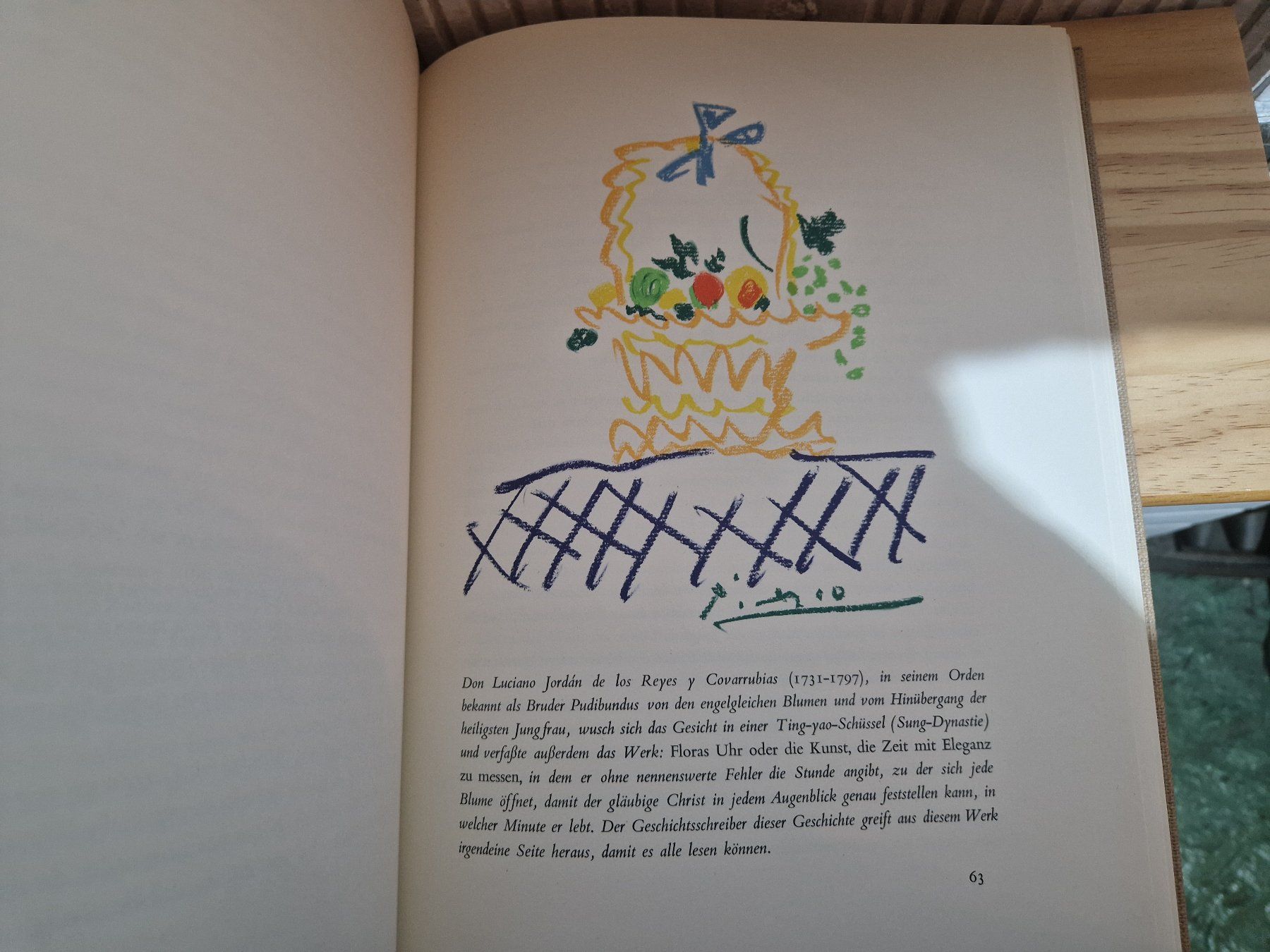 Libri: Picasso Buch "Geschichten ohne Liebe" – Usato da Seedorf BE venduto da Stibutz 3