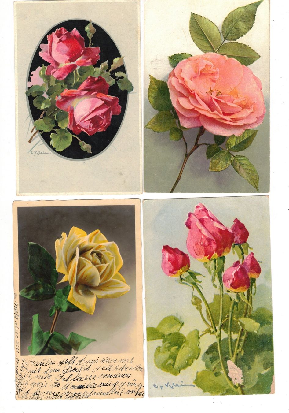 Cartoline postali: Rosen Blumen 11 Ansichtskarten – Usato da Widnau venduto da Seppl480