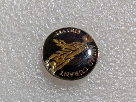 Ansteckpin 147: Matris