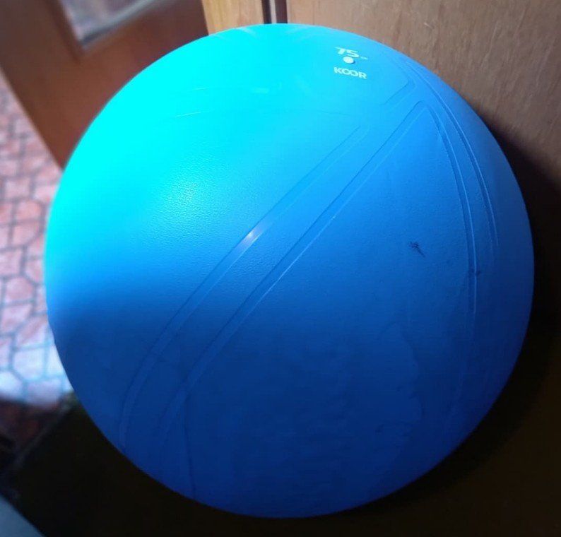 Bälle: Gymnastikball – Gebraucht aus Sax von Frehner