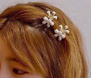Haarschmuck: Haarspange 2 Stück NEU!!! – Neu und originalverpackt aus Bellinzona von ModaLugano 3