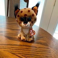the beanie boos collection BUCKWHEAT