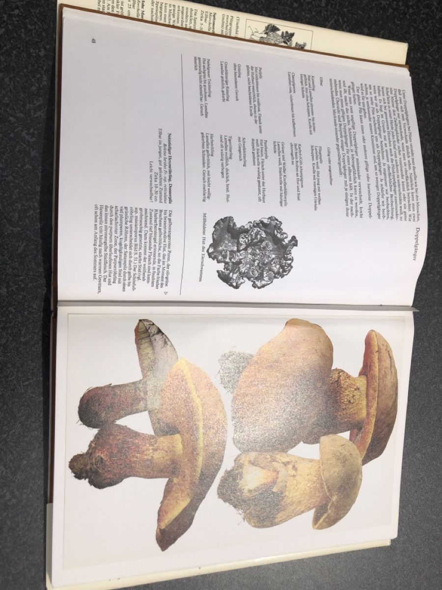 Libri: Pilze Buch Band 2 – Usato da Effretikon venduto da erbaeff 2