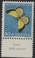 40 Rp. Moorgelbling mit TAB (Colia della palude)