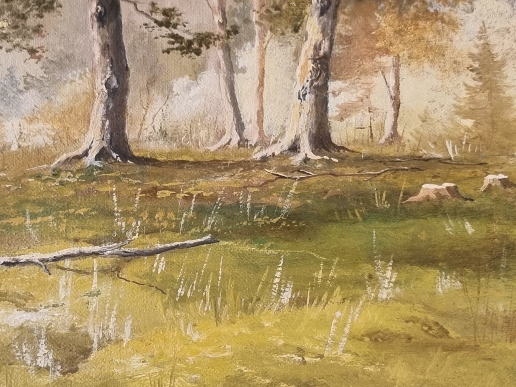 Dipinti: Walter Eggimann Öl Gemälde 60x45 SIKART – Usato da Scharnachtal venduto da devin03 2
