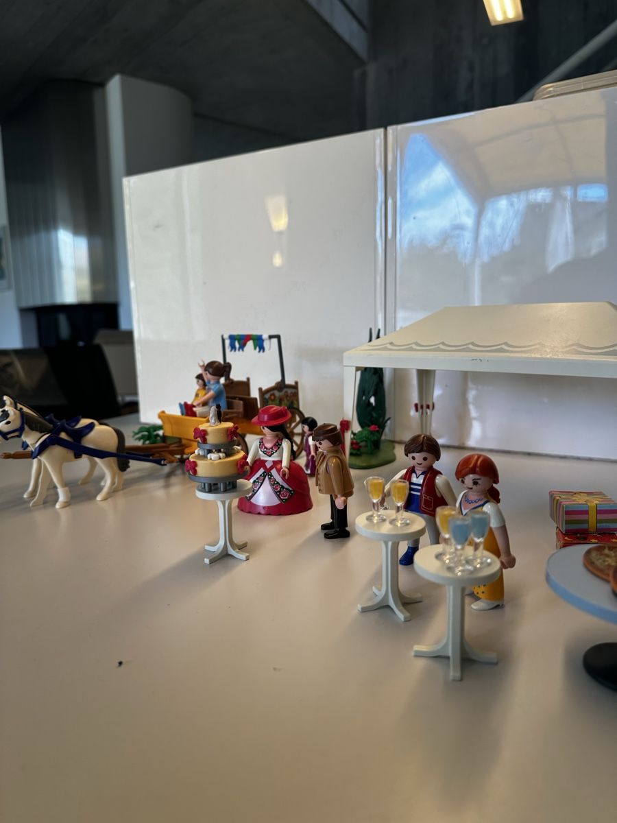 Playmobil Giocattoli: Playmobil Fest – Usato da Solothurn venduto da tab_8zc7 3