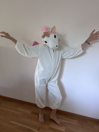 Einhorn Overall Kostüm für Kinder, 116/128, wenig getragen