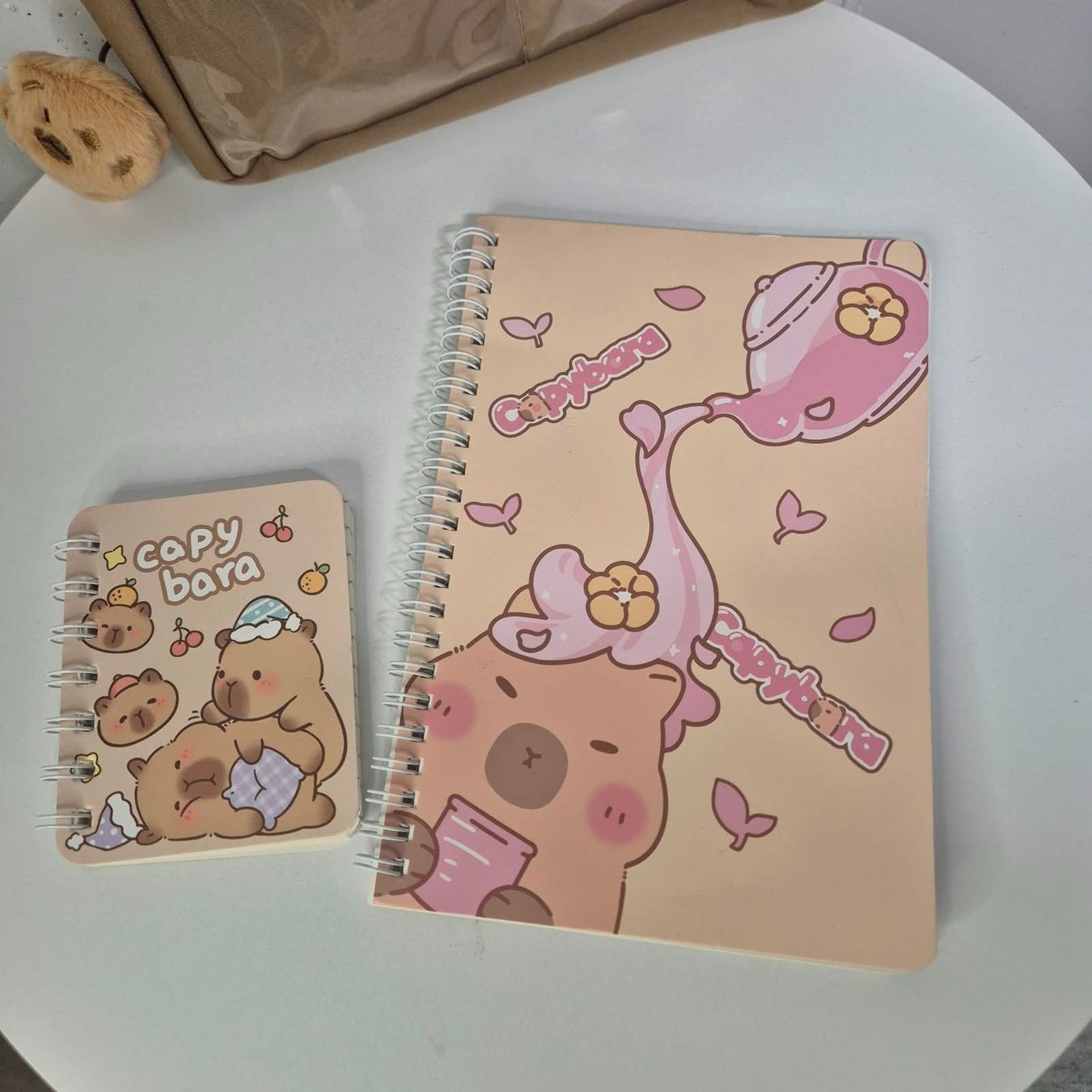 Astucci : Capybara Set: 2 Notizbücher & Federmäppchen – Nuovo (secondo la descrizione) da Bützberg venduto da akaan 1