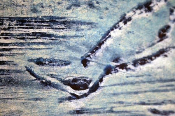 Tutti le monete: IVO RONTINI (Italien, 20. Jh.) – Usato da Bern venduto da Arting 9