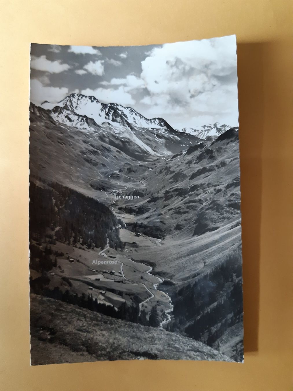 Cartoline postali: Alte Ansichtskarte: Alpenrose/Tschuggen. Top! – Usato da Wattwil venduto da yburgler