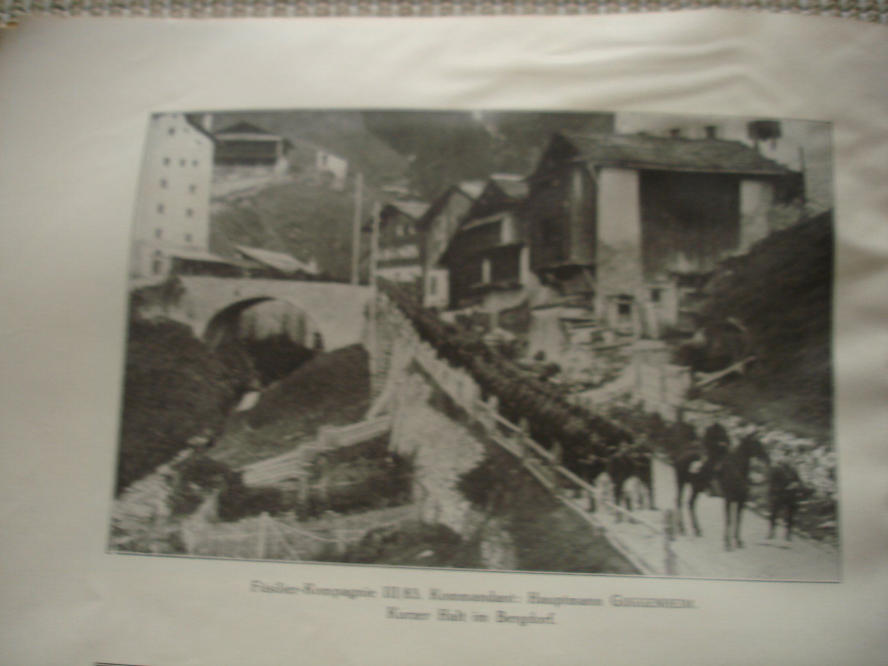 Bücher: Album 6. Division Schweizer Armee 1915, historisch – Gebraucht aus Gossau ZH von Crfurrer 4