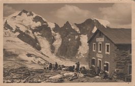 0102 - Postkarte / Ansichtskarte - Diavolezza & Piz Bernina