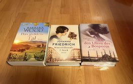 historische Romane: Barbara Wood, J. Friedrich, Revay, Top!