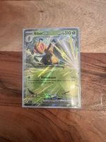 Pokemon Bibor ex 310