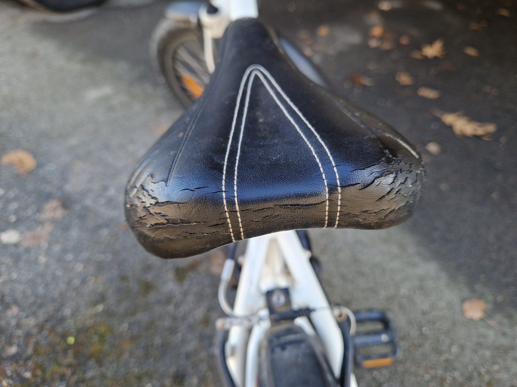 Specialized Biciclette: Specialized HotRock – Usato da Tafers venduto da Nathtafers 4