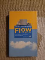 Flow im Beruf