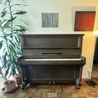 100 Jahre altes Klavier in gutem Zustand (Burger & Jacobi)