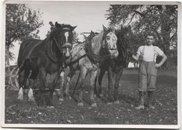 LANDWIRTSCHAFT 1940 Kanton St. Gallen Eggen mit Pferd